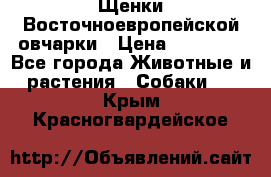 Щенки Восточноевропейской овчарки › Цена ­ 25 000 - Все города Животные и растения » Собаки   . Крым,Красногвардейское